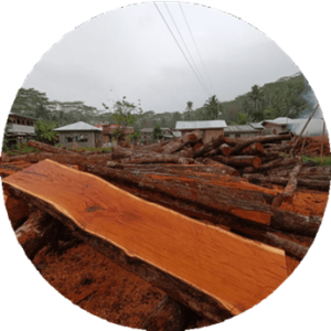 Mahogany Wood Supply